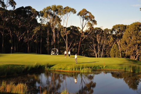 RACV Goldfields Resort - Maitland Accommodation 31