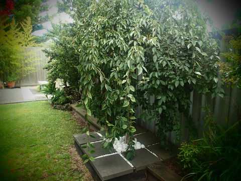 Azen Haven - Maitland Accommodation 12