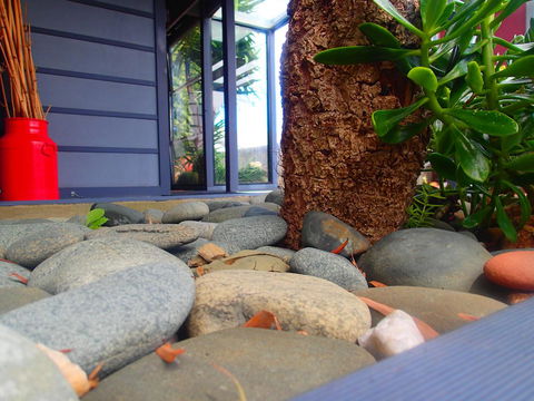 Azen Haven - Maitland Accommodation 11