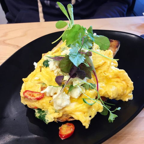 Turnkey Accommodation-North Melbourne - Maitland Accommodation 13