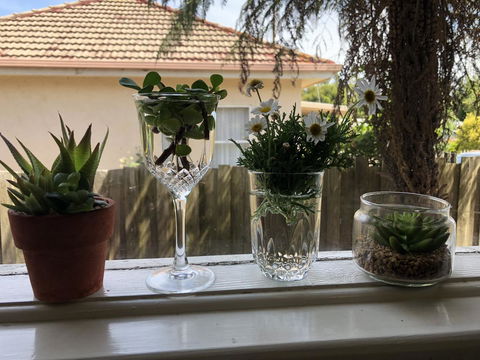 Growse House Yarram 3BR - Maitland Accommodation 10