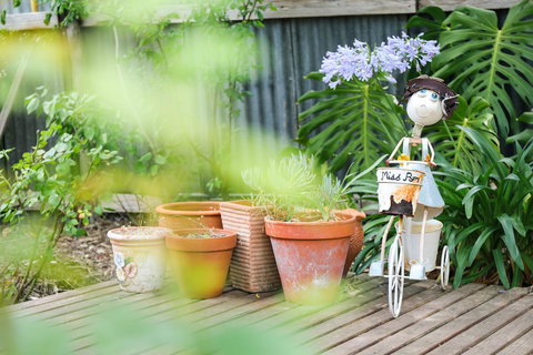 Miss Pym's Cottage - Maitland Accommodation 7