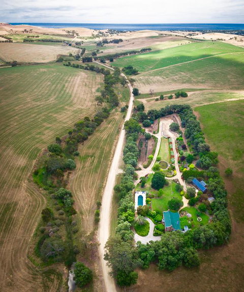 The Garden Cottage At The Olives - Maitland Accommodation 3