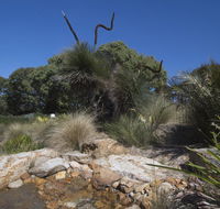 The Lakes Beachfront Holiday Park - Maitland Accommodation