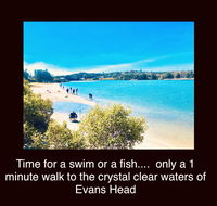 The Lazy Llama - Maitland Accommodation