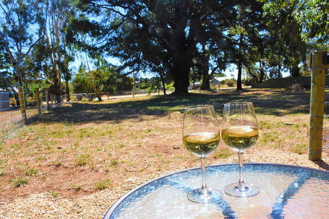 The Shelter Shed Garden Studio Apartment - Maitland Accommodation 3