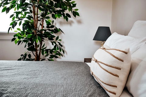 The Spa Cottage - Maitland Accommodation 1