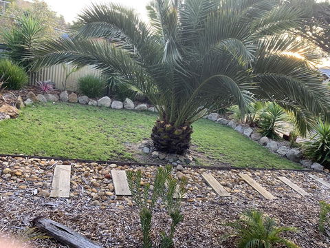 Torquoise Waters - Bed & Breakfast - Maitland Accommodation 1