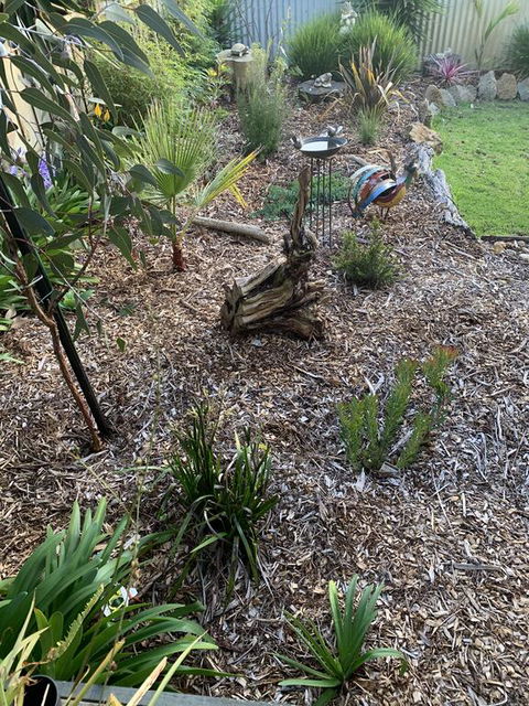 Torquoise Waters - Bed & Breakfast - Maitland Accommodation 2