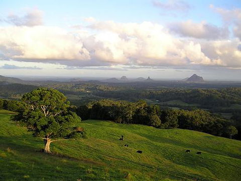 Tranquil Park - Maitland Accommodation 0