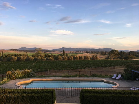 Tranquil Vale Vineyard - Maitland Accommodation 0