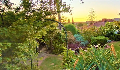 Treetops Escape - Maitland Accommodation 1