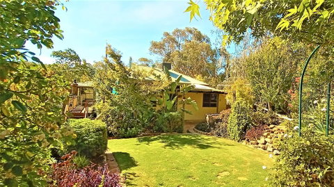 Treetops Escape - Maitland Accommodation 2