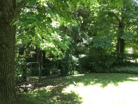 Tyntynder Garden Cottage 4 - Maitland Accommodation 2