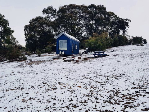 Walden Tiny House - Maitland Accommodation 2