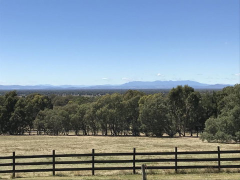 Warby Cottage - Maitland Accommodation 3