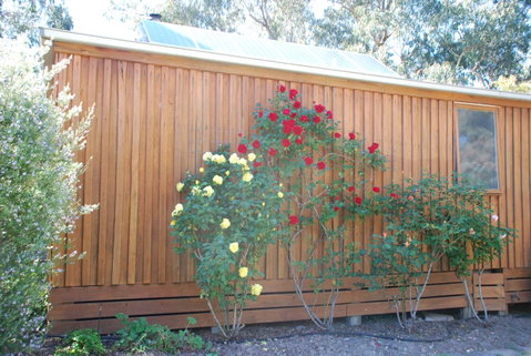 Bluegum Ridge Cottages - Maitland Accommodation 23
