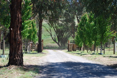 Bluegum Ridge Cottages - Maitland Accommodation 3
