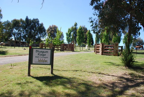 Bluegum Ridge Cottages - Maitland Accommodation 1