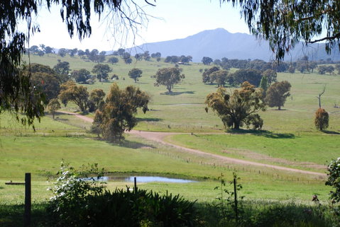Bluegum Ridge Cottages - Maitland Accommodation 31