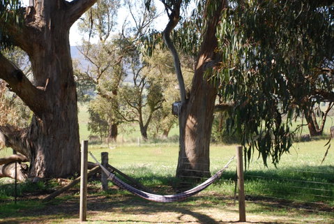 Bluegum Ridge Cottages - Maitland Accommodation 28