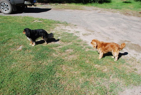 Bluegum Ridge Cottages - Maitland Accommodation 6