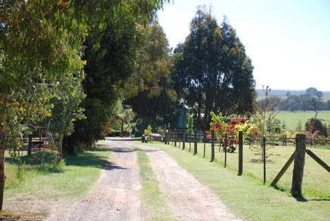 Bluegum Ridge Cottages - Maitland Accommodation 4