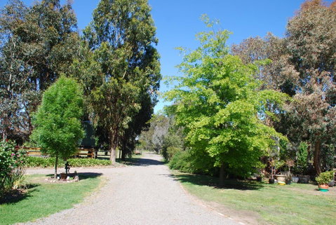 Bluegum Ridge Cottages - Maitland Accommodation 5