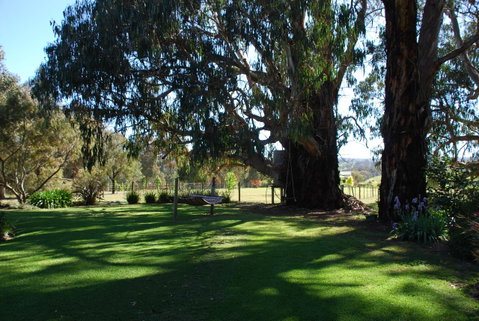 Bluegum Ridge Cottages - Maitland Accommodation 29