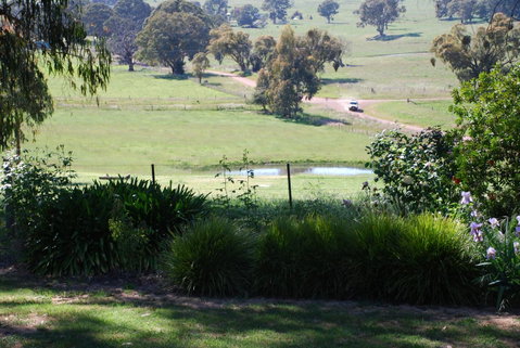 Bluegum Ridge Cottages - Maitland Accommodation 30
