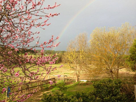 Australian Home Away @ Wonga Park Brushy Creek - Maitland Accommodation 19