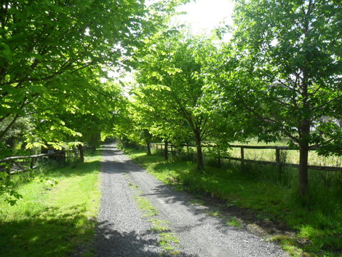 Australian Home Away @ Wonga Park Brushy Creek - Maitland Accommodation 0