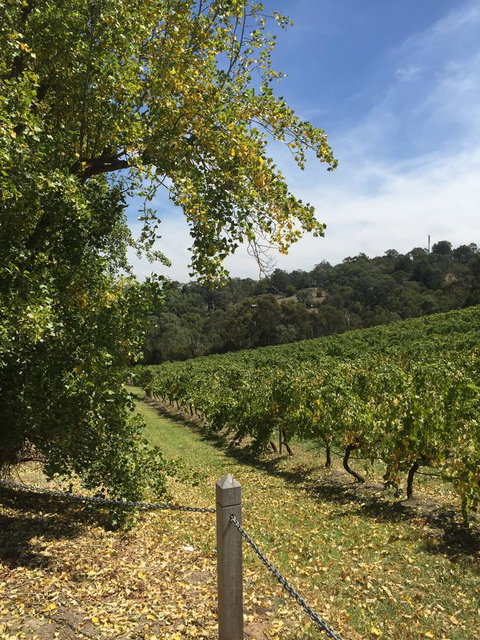 Australian Home Away @ Wonga Park Brushy Creek - Maitland Accommodation 1