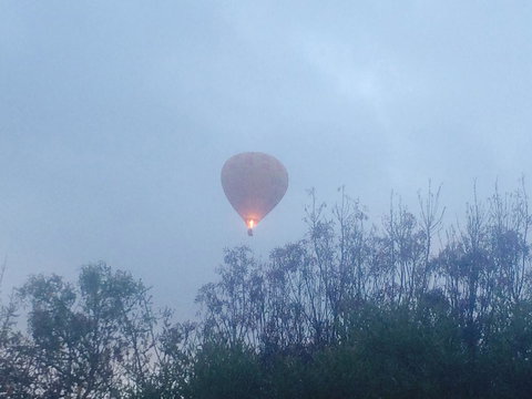 Australian Home Away @ Wonga Park Brushy Creek - Maitland Accommodation 21