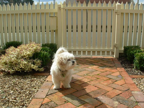 Sabina On Little Myers - Maitland Accommodation 24