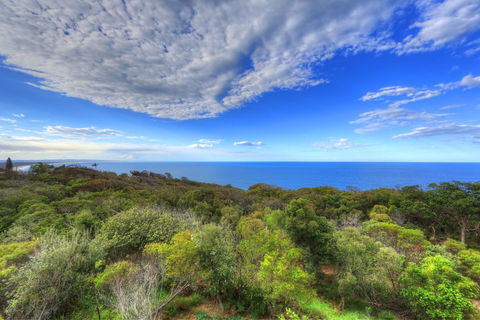 Rainbow Ocean Palms Resort - Maitland Accommodation 17