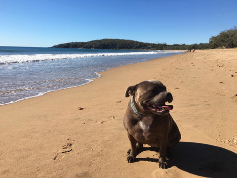 KiteSurf 1770 Beach House - Maitland Accommodation 12