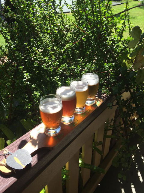 The Bearded Dragon Boutique Hotel - Maitland Accommodation 31