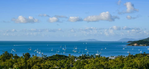 Bella Vista On Nara Pets Welcome - Maitland Accommodation 7