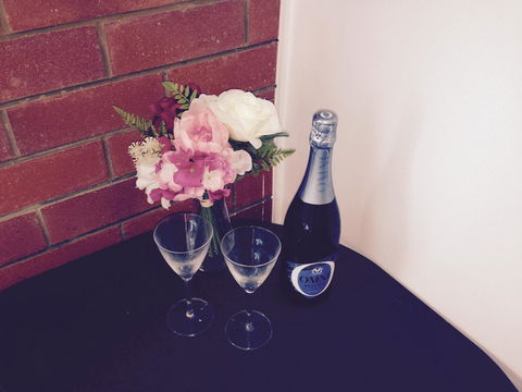 XYL Pets Friendly Seaside Boutique Guesthouse - Maitland Accommodation 26
