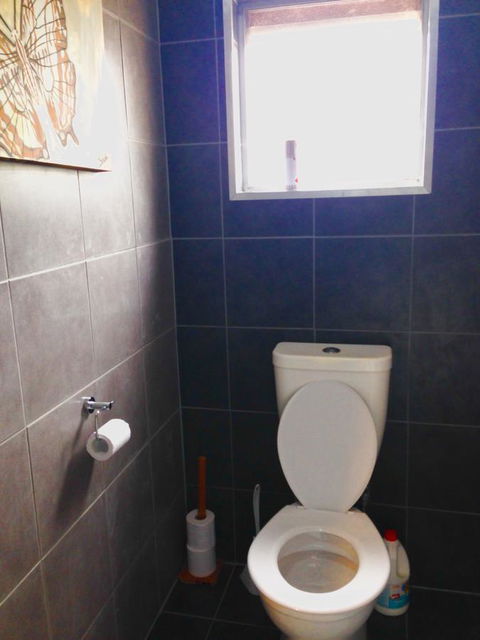 XYL Pets Friendly Seaside Boutique Guesthouse - Maitland Accommodation 5