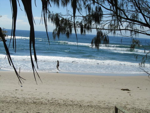 Le Beach Apartments - Maitland Accommodation 16