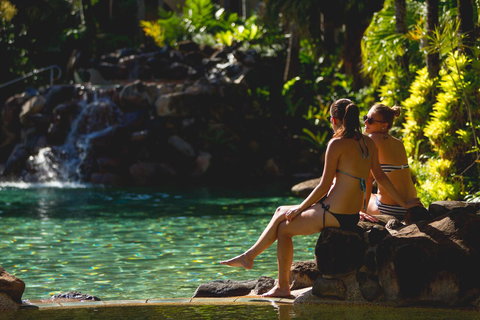 Palm Royale Cairns - Maitland Accommodation 19