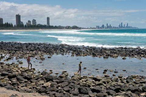 Oceania On Burleigh Beach - Maitland Accommodation 42
