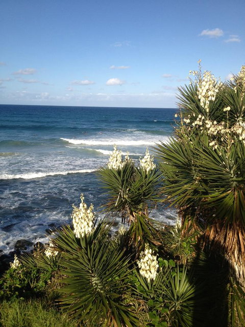 Oceania On Burleigh Beach - Maitland Accommodation 23