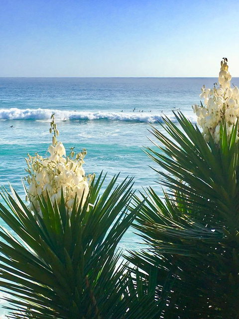 Oceania On Burleigh Beach - Maitland Accommodation 21