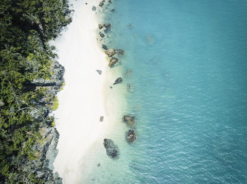 Daydream Island Resort - Maitland Accommodation 41