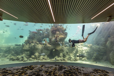 Daydream Island Resort - Maitland Accommodation 28