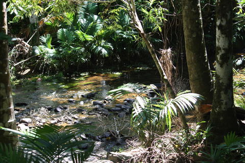 Boutique Bungalows - Maitland Accommodation 18