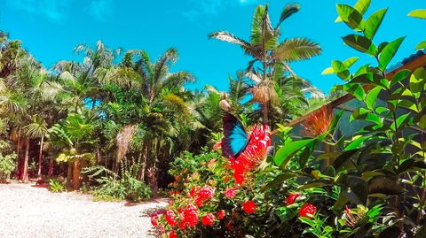 Boutique Bungalows - Maitland Accommodation 14